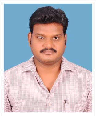 P.N. RAJA