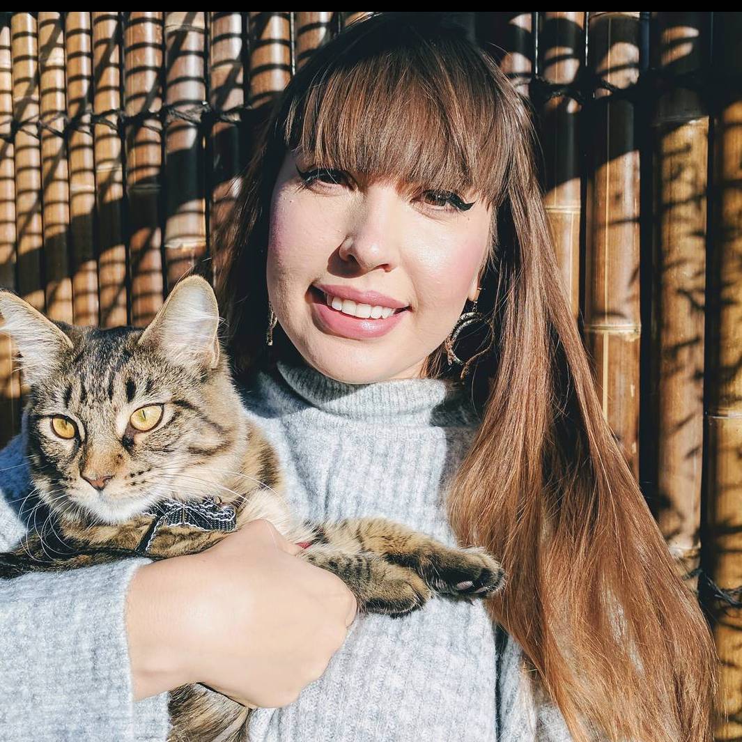 Vlada Todeush